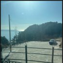 마린 어프로치클럽 | 울진골프연습장, 오션뷰가 멋진 마린어프로치클럽 방문 후기