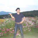 양금석 카카오 검색결과