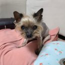 언더더씨해물찜 이미지