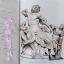 미술관에 간 해부학자 이미지