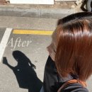 대야 제4공영주차장 사거리 건너 | 노원 미용실 [준오헤어 중계은행사거리점] Before/After 후기_영국원장의 복구(클리닉)매직