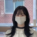 엔아이헤어 이미지