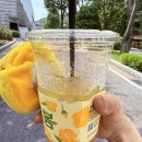 빽다방과천렉스타운점