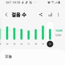 백일메주