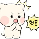 오션테라 이미지