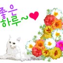 카페산동0157 이미지