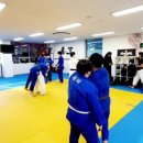 호랑이 유도관 이미지