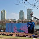 송파호수 벚꽃축제 – 도심 속에서 만나는 봄의 낭만