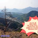 성불산자연휴양림 이미지