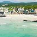 두여인 | 경종의 왕비들 이야기 – 단의왕후와 선의왕후, 비운의 왕을 곁에서 지킨 두 여인