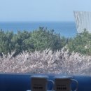 유스타의원 이미지