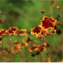 선암어린이공원 이미지