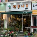 [대연역/꽃집] 행복나무 플라워_세상친절+솔직후기
