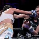 J World boxing 이미지
