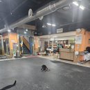 다비드 짐 이미지