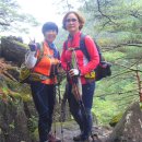 무릉계곡 진입로 이미지