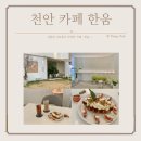 주식회사 그레이머스캣 | 천안 구공카페 크로플이 다양한한움