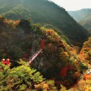 내서IC주유소 이미지