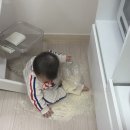 (주)대구공동어시장 | 26년 첫 일상블로그가 3월이라니?