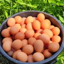 청미래농장 이미지