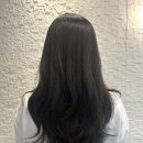 하이블헤어