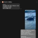 친절한부동산중개 | [덕신부동산] 우리동네 친절한 상가 전문가! 대우부동산 리얼후기