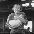 너구리와 여우소굴 이미지