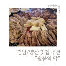 [경남/양산] 양산 닭구이 맛집 “숯불에닭”양산중부점