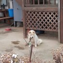 큰산공인중개사사무소 이미지