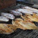 섬초랑민어가 | 극한직업 혹한의 겨울맛 고흥 생선구이 식당 정보