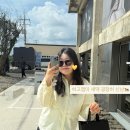 런던안경 | 엘리펀트, 제주 동쪽코스에서 즐기기✨ (런던베이글까지 하루 코스 완성) | 안경·선글라스 내돈내산 후기