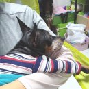 예향한방병원 이미지