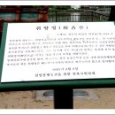 공원로-3 이미지