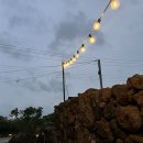 다시청춘민박 이미지