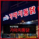 가마치통닭세원점 이미지