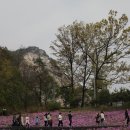 불암산나비정원 이미지