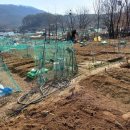 삼송농장 티스토리