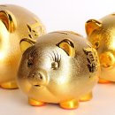 꽃분이네 이미지