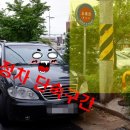 벌교파출소앞 이미지