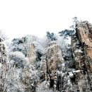 설복