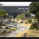 파인클라우드 | 신안군 암태도 파인 클라우드 정원 여행 후기