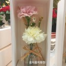꼼지꼼지화원 이미지
