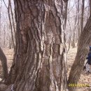 초원목욕탕 이미지