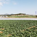 우수영관광지 이미지