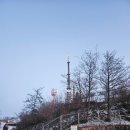 석굴암농장 | 식장산 전망대 (대전 가볼만한곳) 주차장 쉼터