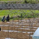 여주-0602 이미지