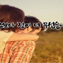 💟 사랑보다 정이 더 무섭습니다 💟 이미지