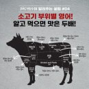 백팩커스펍&까페 | [호주 워홀] 2주 차│첫 출근, 일요 마켓, Suitcase Rummage, 펍 The Plough Inn, 호주 물가