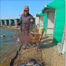 말봉바다낚시터 이미지