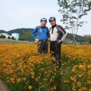 화원유원지 이미지